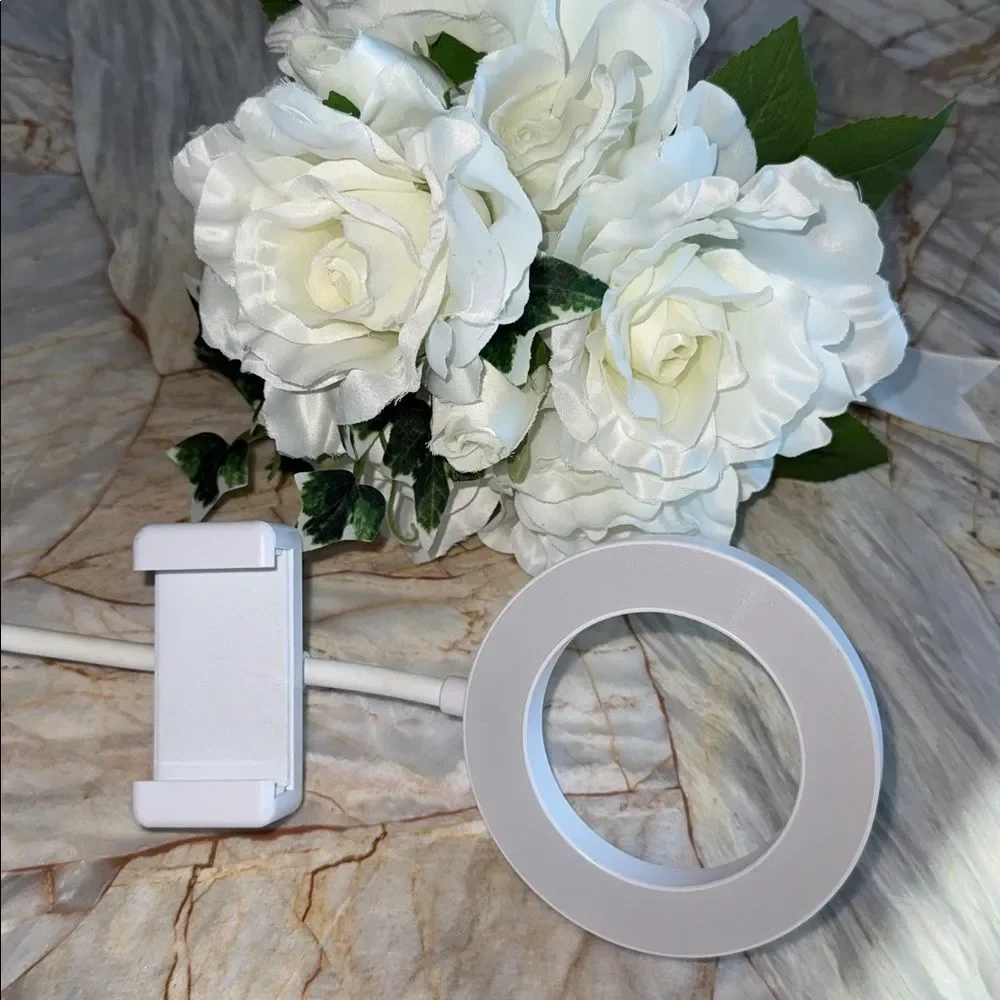 2-in-1 White Silver Vlogging Desk Lamp NWT Beauty Vlog Video‎ Ring Light